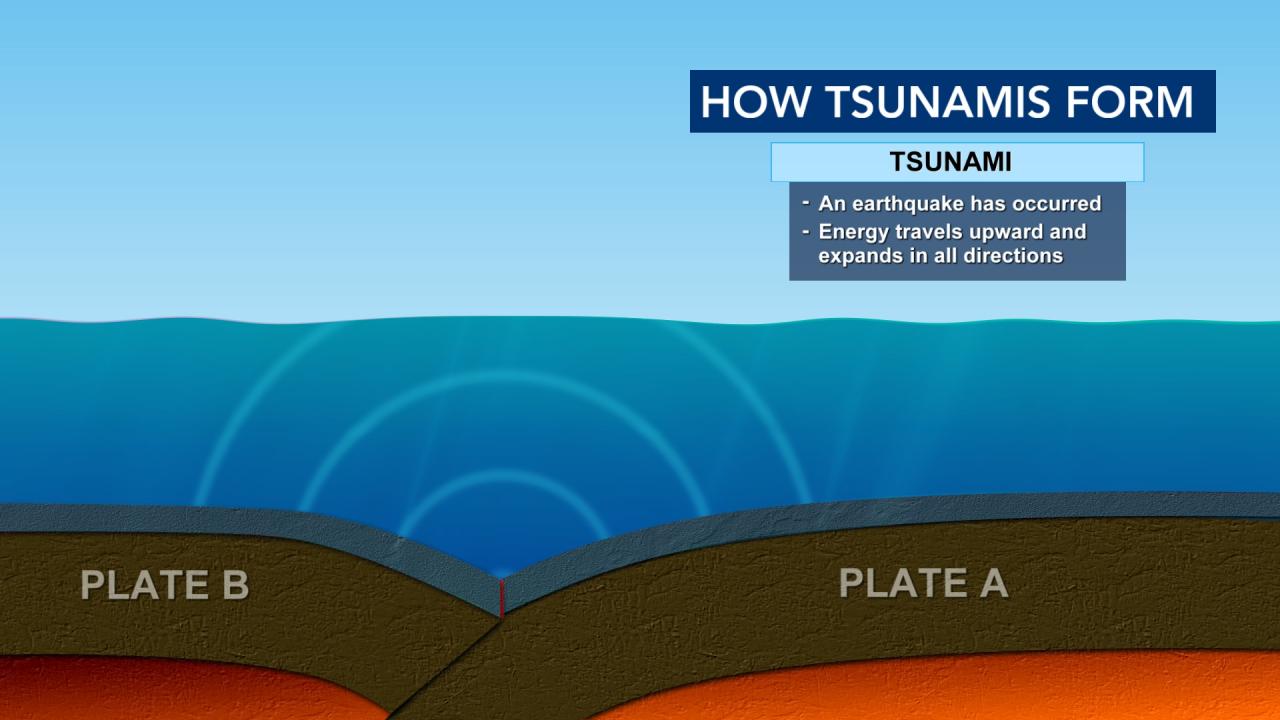 Ask the Meteorologist: How do tsunamis form?