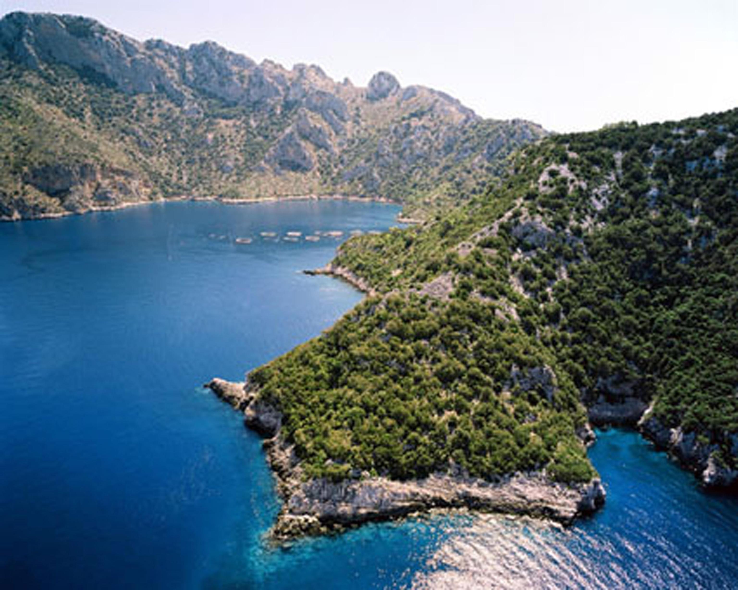 Yundxi 48 lettere greche in legno greco greco per fai da te, pittura artigianale, decorazione da parete per la casa, album di ritagli, 5,1 cm
