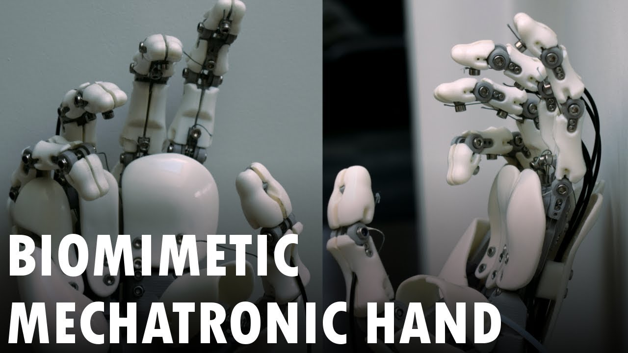 3D printed biomimetic bionic hand presentation
