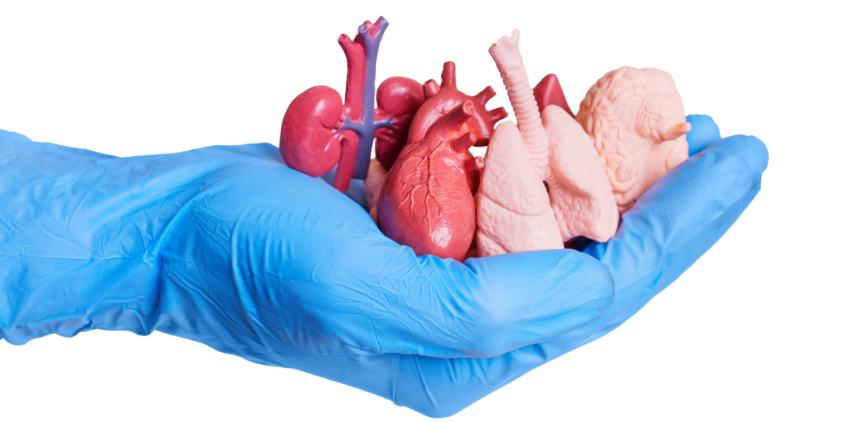 Festival offers people tickets if they sign up as organ donors
