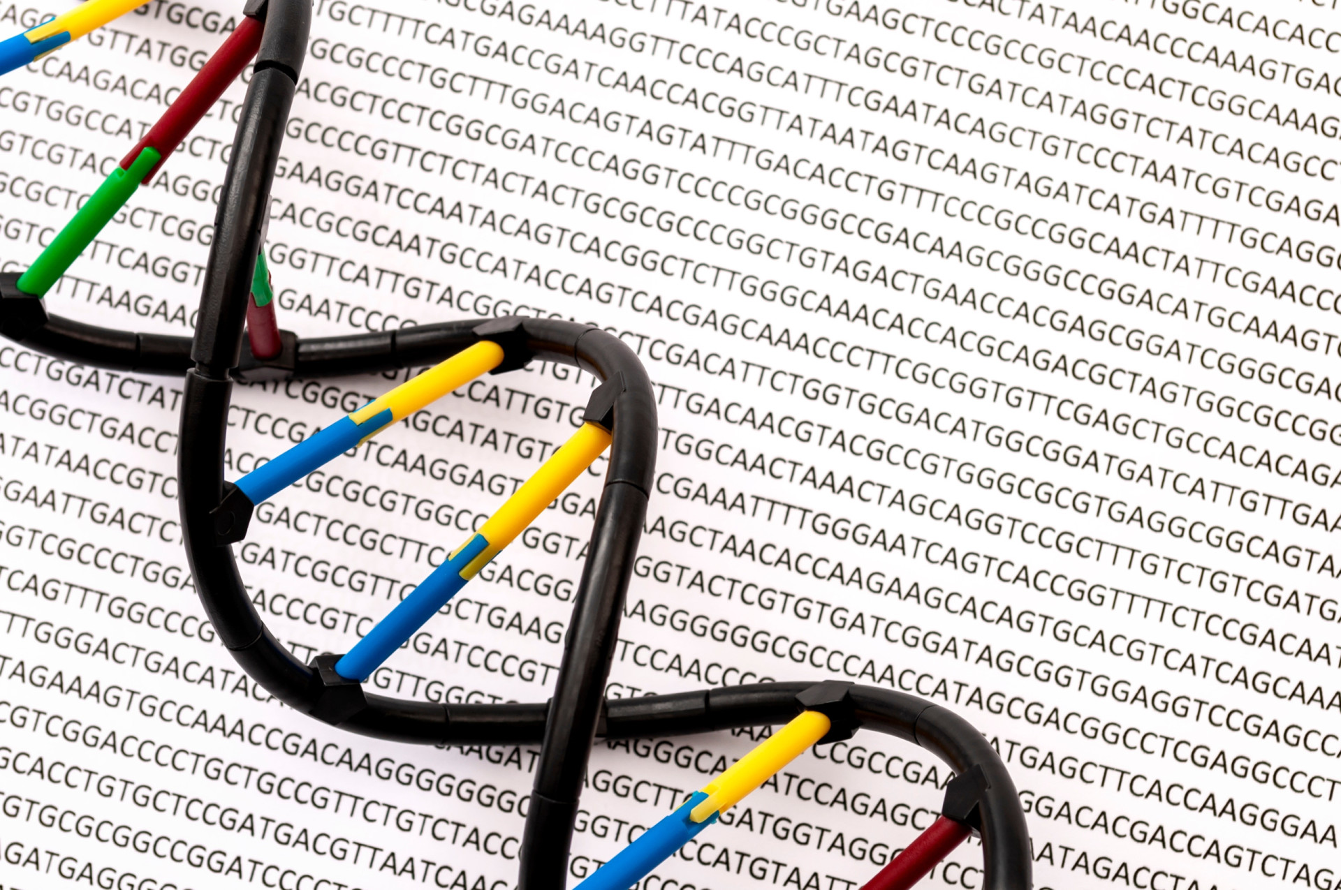 Hvad DNA fortæller os om de første mennesker, der bosatte sig i Europa