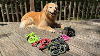 Picture of Image result for Leash with smooth operating mechanism easy