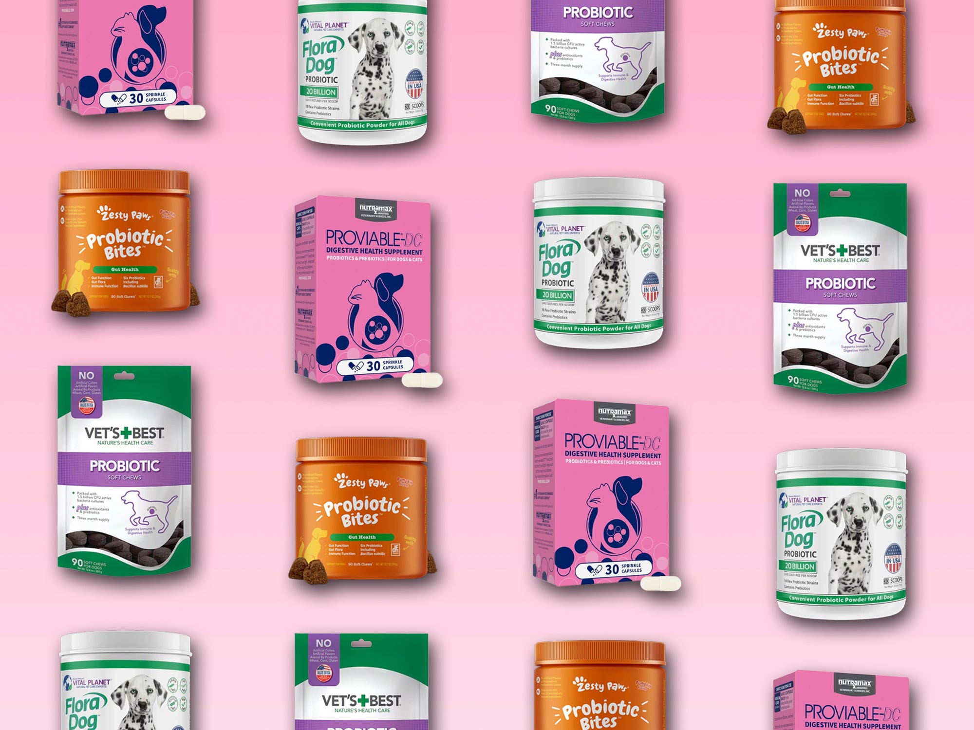 The 5 best probiotics for dogs in 2025, with advice from veterinarians
