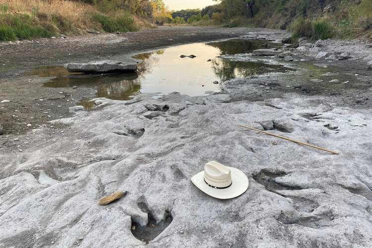 Three-toed tracks previously found in Dinosaur Valley State Park also likely belong to Acrocanthosaurus, a 15-foot-tall dinosaur that weighed close to seven tons. (Paul Baker)