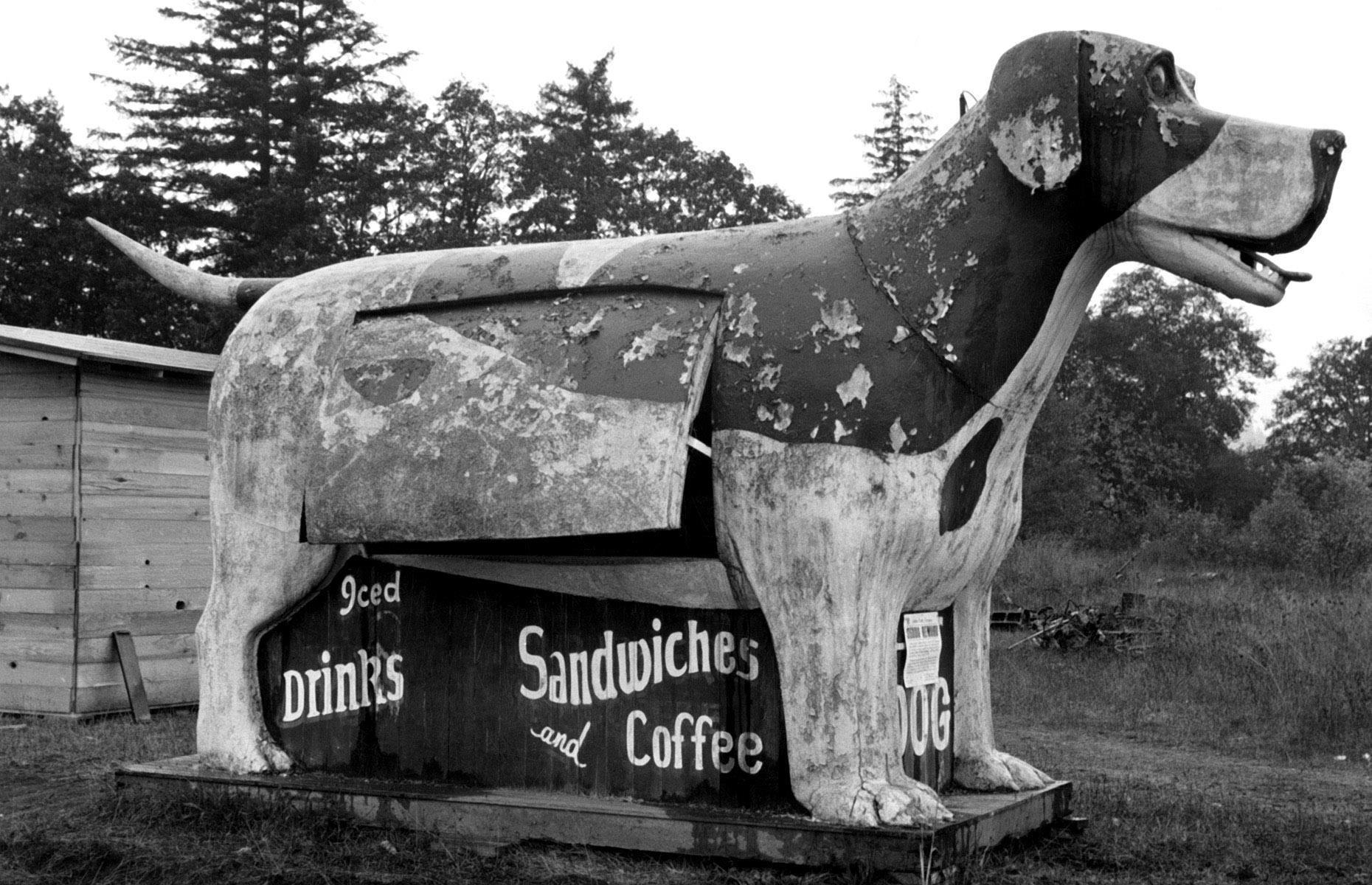 Vintage photos of America's quirky roadside buildings