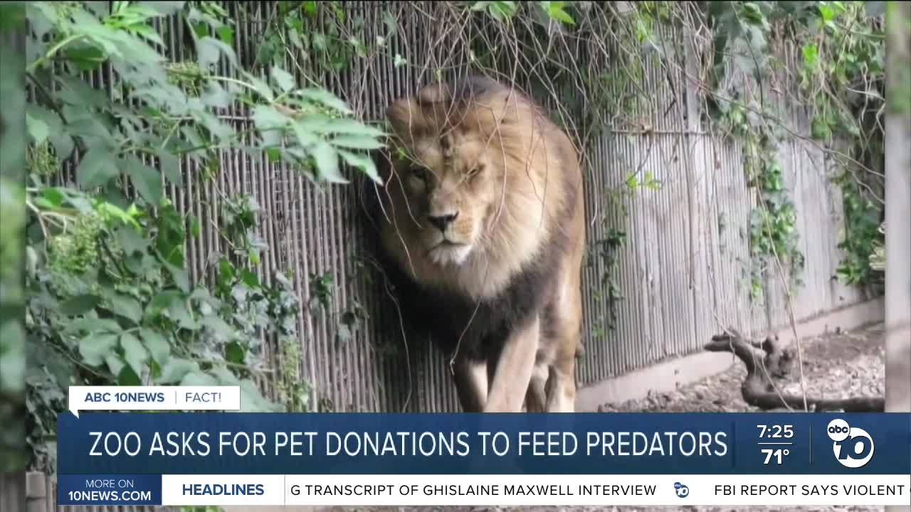 Denmark zoo asks public to donate unwanted pets to feed to predators?
