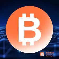 Bitmine Immersion (Bmnr) And Its Massive Eth Investment - phi2mfn