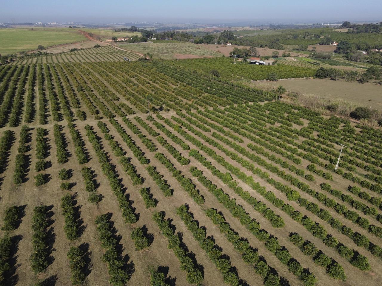 U.S. Trading Partners Race to Secure Exemptions From Trump’s Tariffs