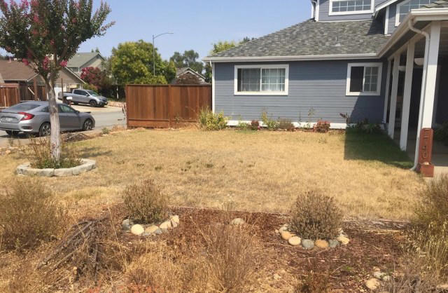 Homeowner shares before-and-after photos after ripping out dying front ...