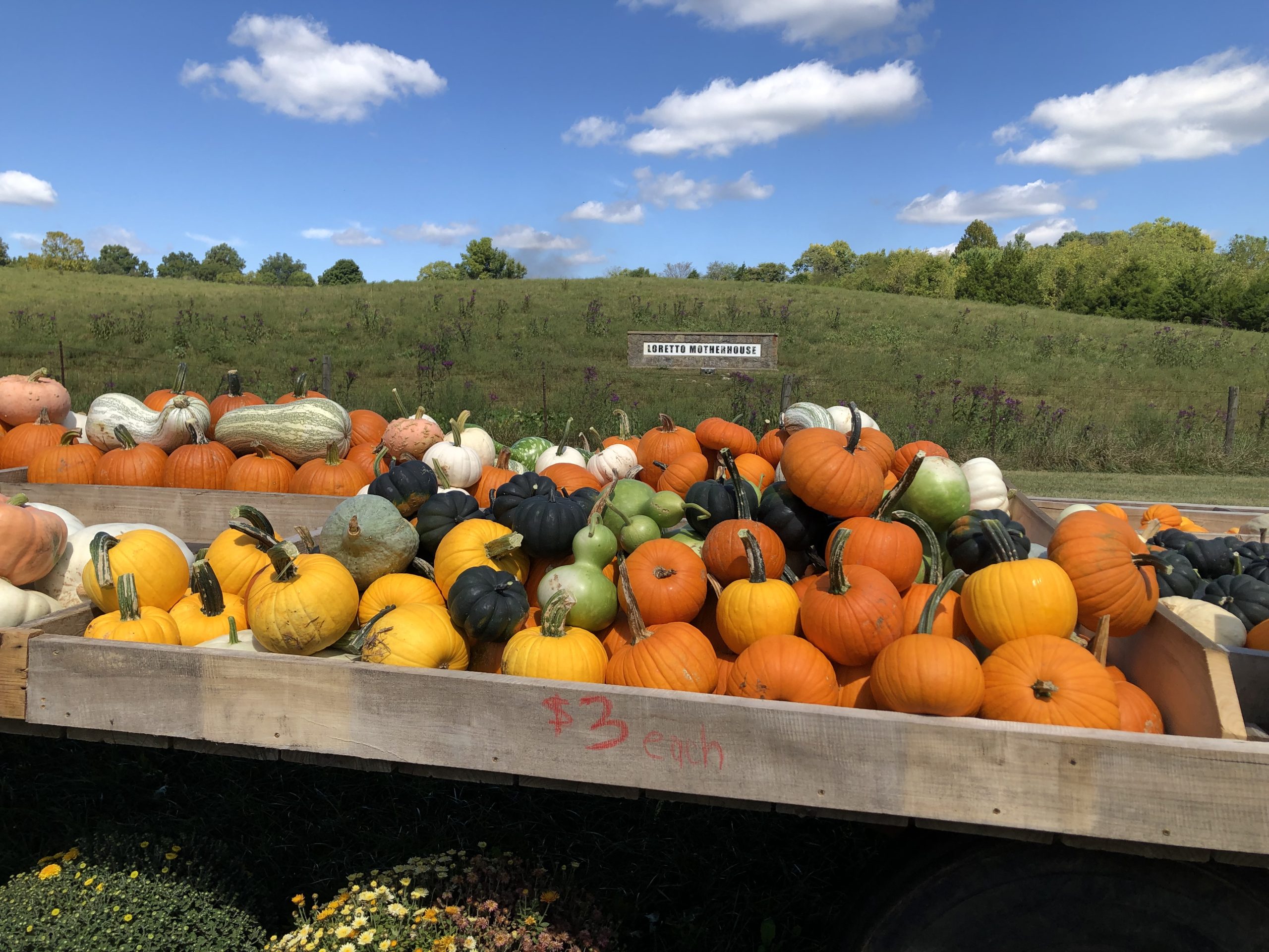 Preserving the Land with Love and Devotion