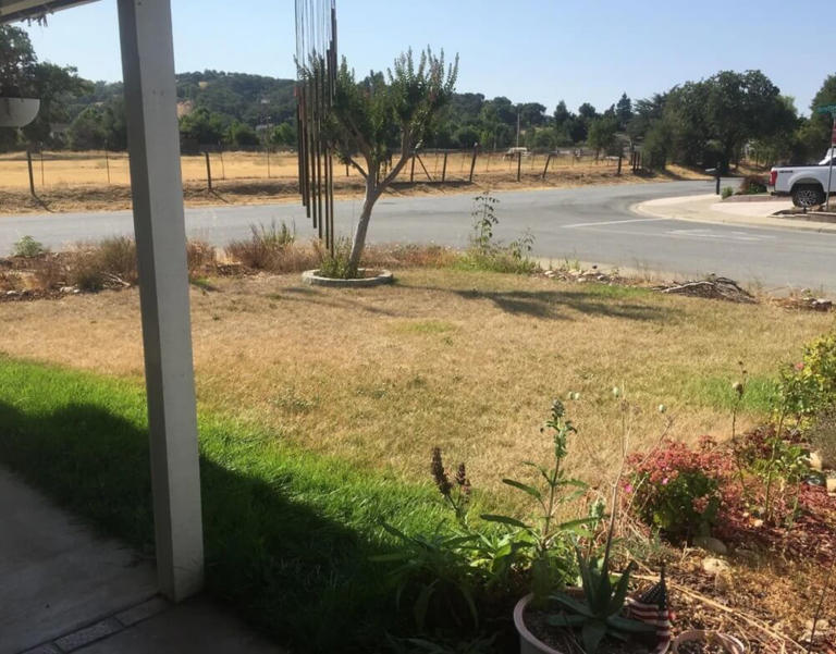 Homeowner shares before-and-after photos after ripping out dying front ...