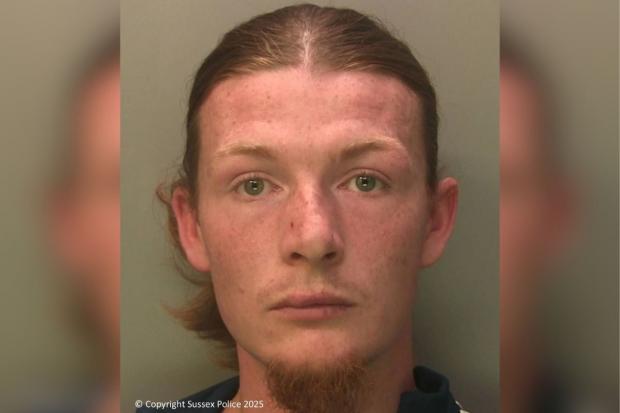 Police launch hunt for wanted man who missed court over dog attacks