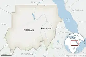 Sudanese airstrike hits Darfur airport, kills 40 suspected mercenaries ...