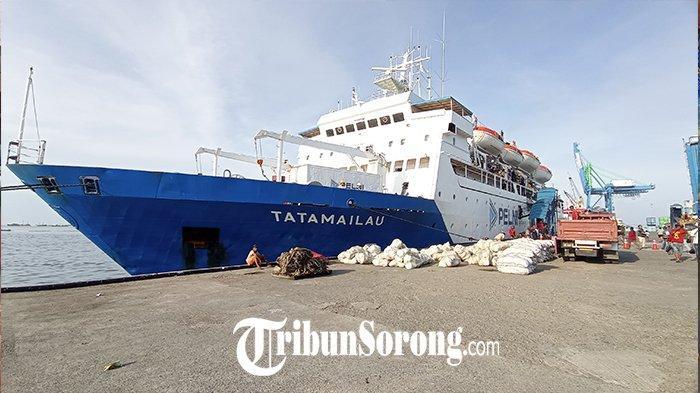 Jadwal Kapal Pelni Sorong-Ambon 2026, Tiket Mulai Rp240 Ribu
