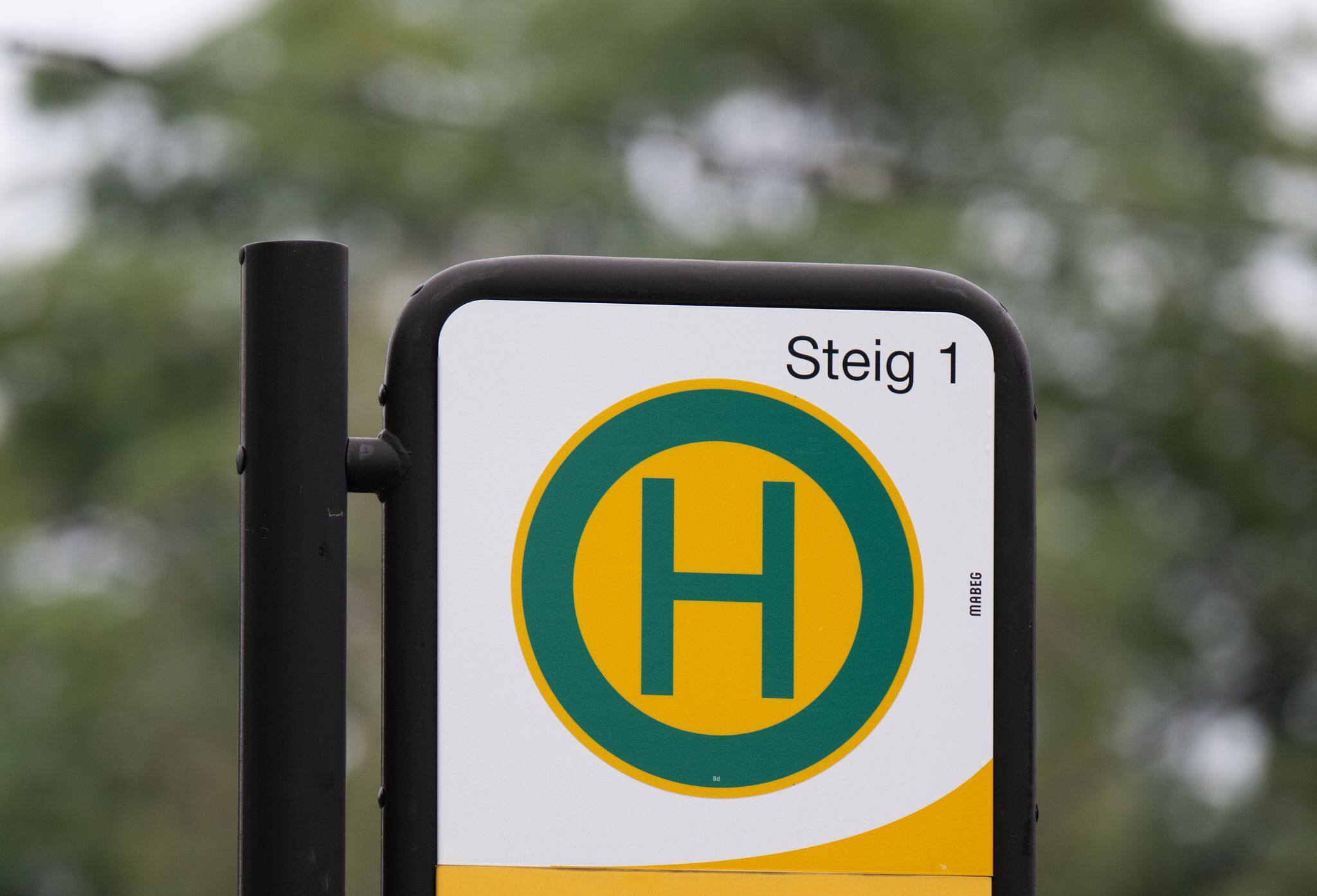 In den Herbstferien: DVB leiten zahlreiche Busse und Straßenbahnen um