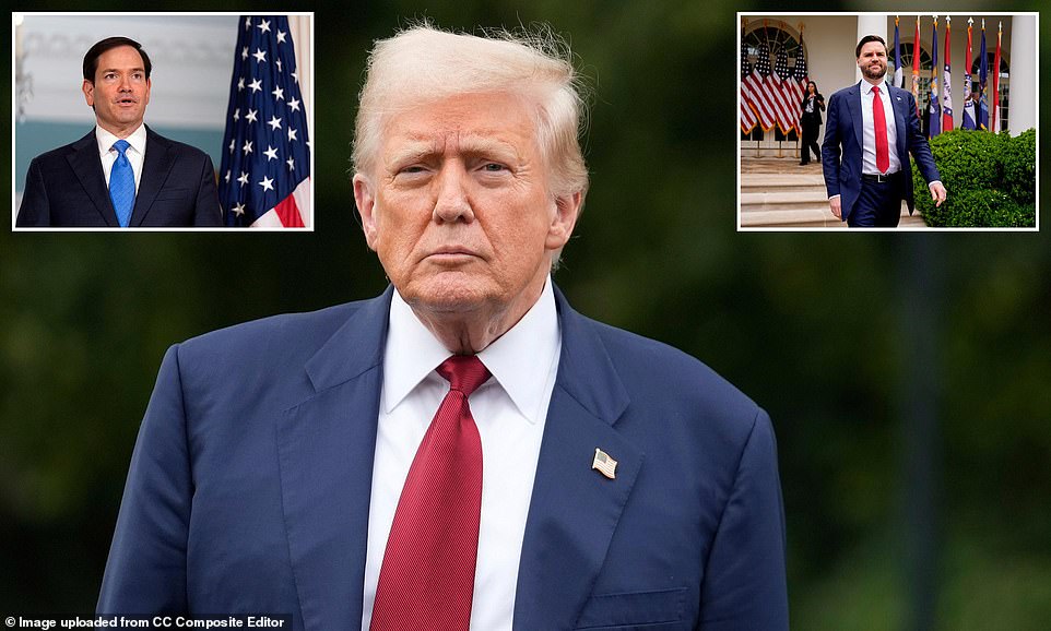 2028 PRESIDENTIAL CANDIDATES DECLARED POTENTIAL CONTENDERS visual data 5