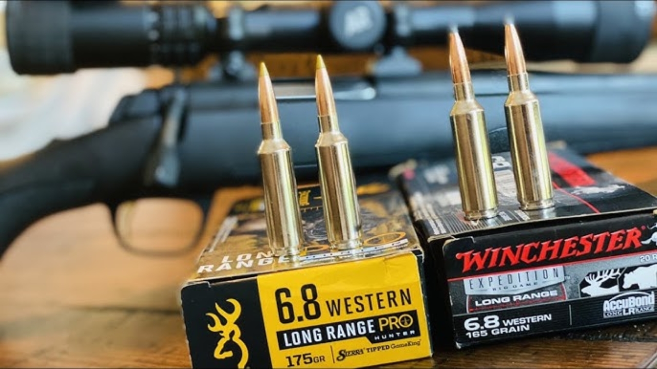 Rounds That Stay Effective in Real Hunting Conditions