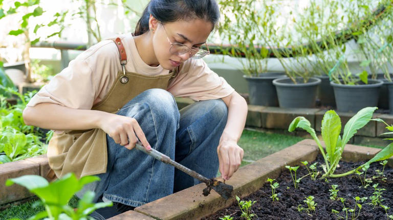 A woman is tending to her garden