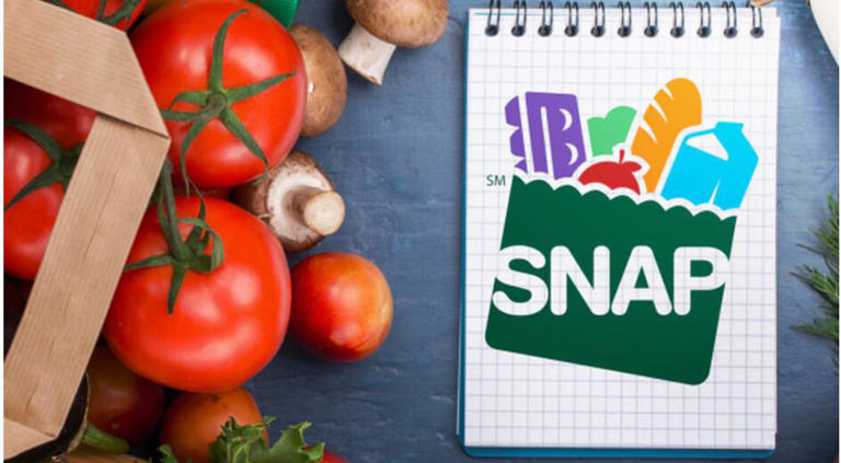How to Apply for Emergency Food Stamps in SC: Quick & Easy Guide