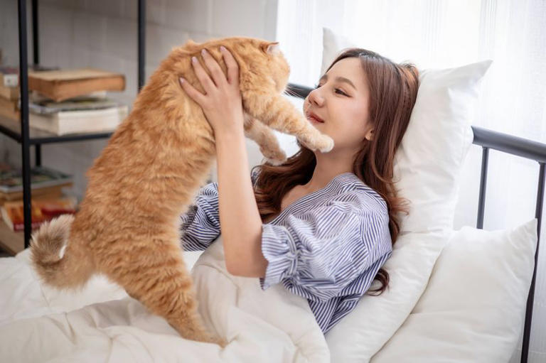 Cat Behaviour Expert: Unlock Secrets to Happy, Healthy Cats