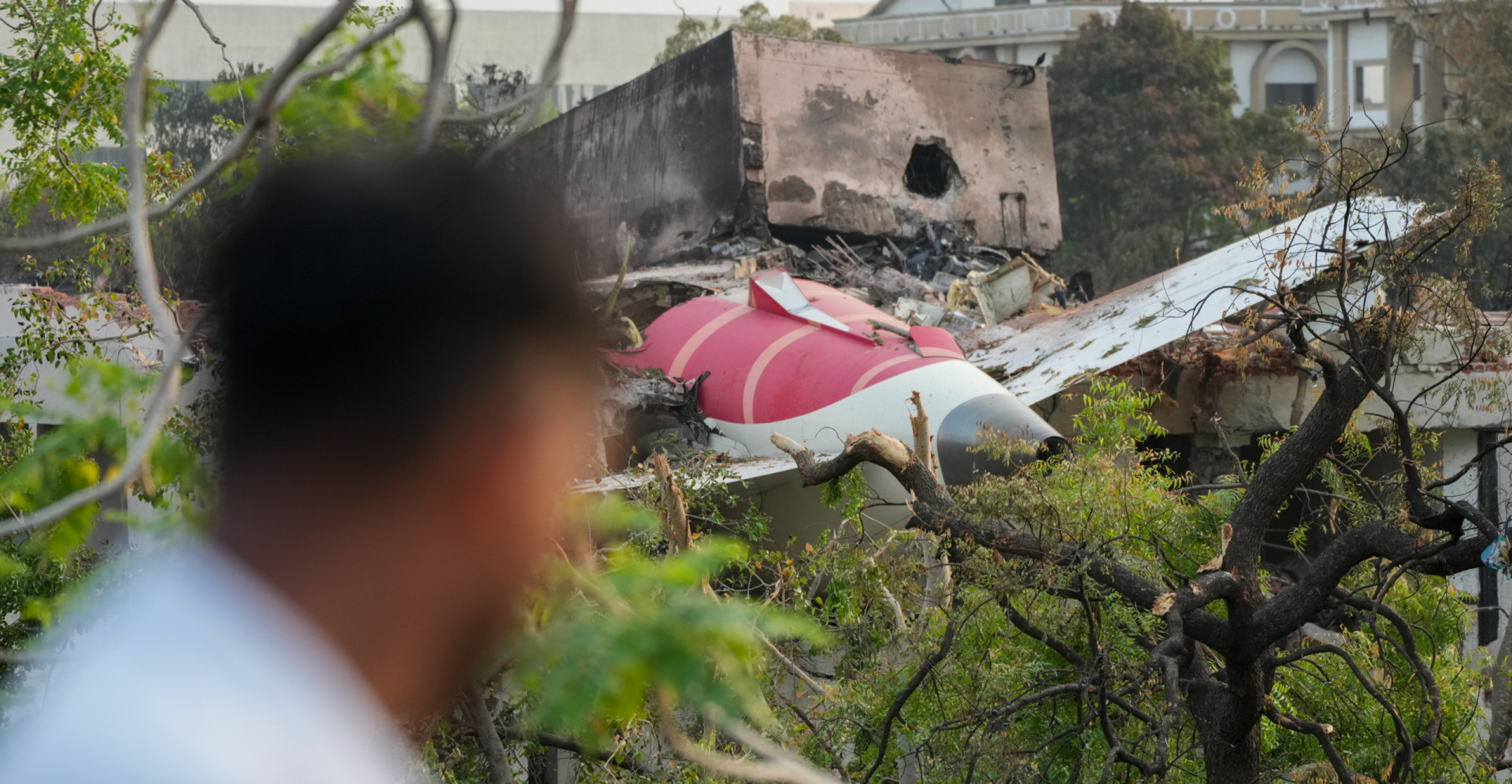 Miraculous stories of plane crash survivors