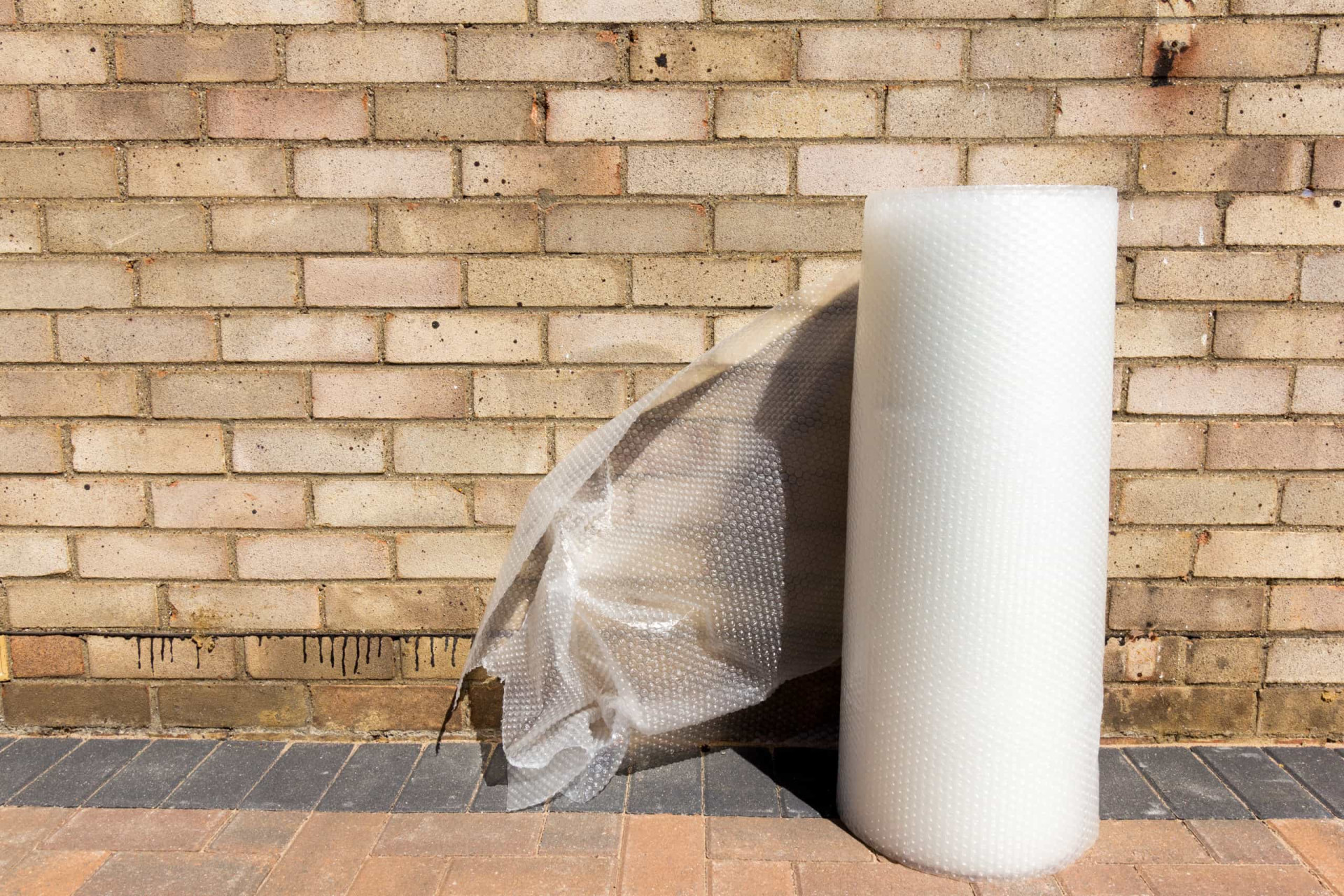 Los usos más ingeniosos del plástico de burbujas