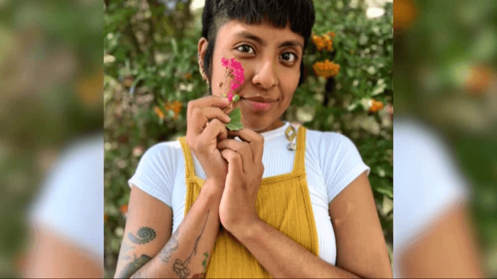 Criminal history complicates DACA recipient's arrest; legal experts