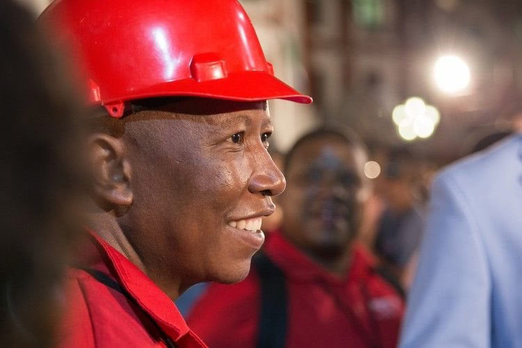 Kunene committedspeech by calling Malema a cockroach court rules Kunene committedspeech by calling Malema a cockroach court rules