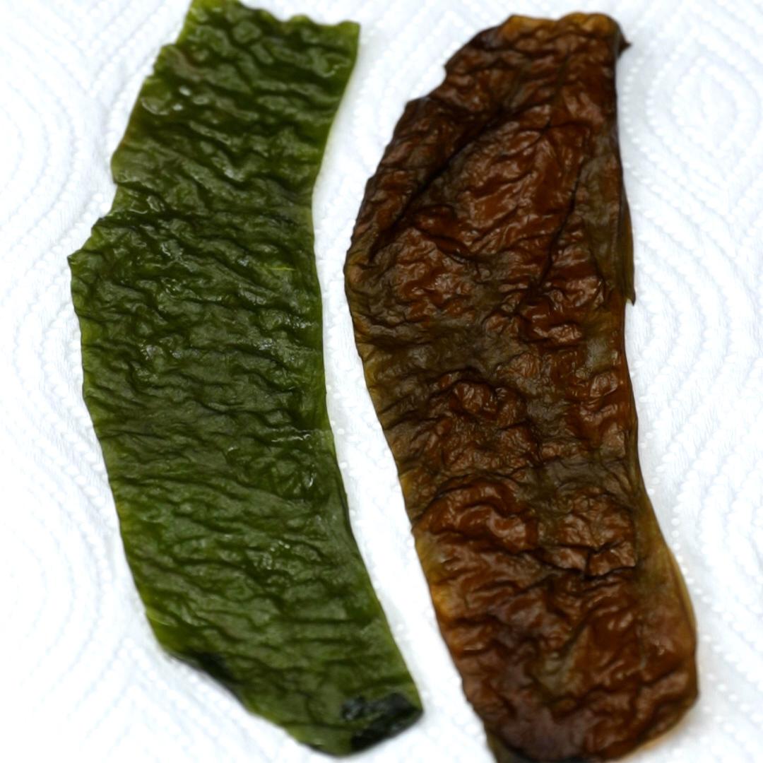 【色の変化が面白い】生ワカメはこうやって食べるのが正解！ / Seaweed Shabu-shabu
