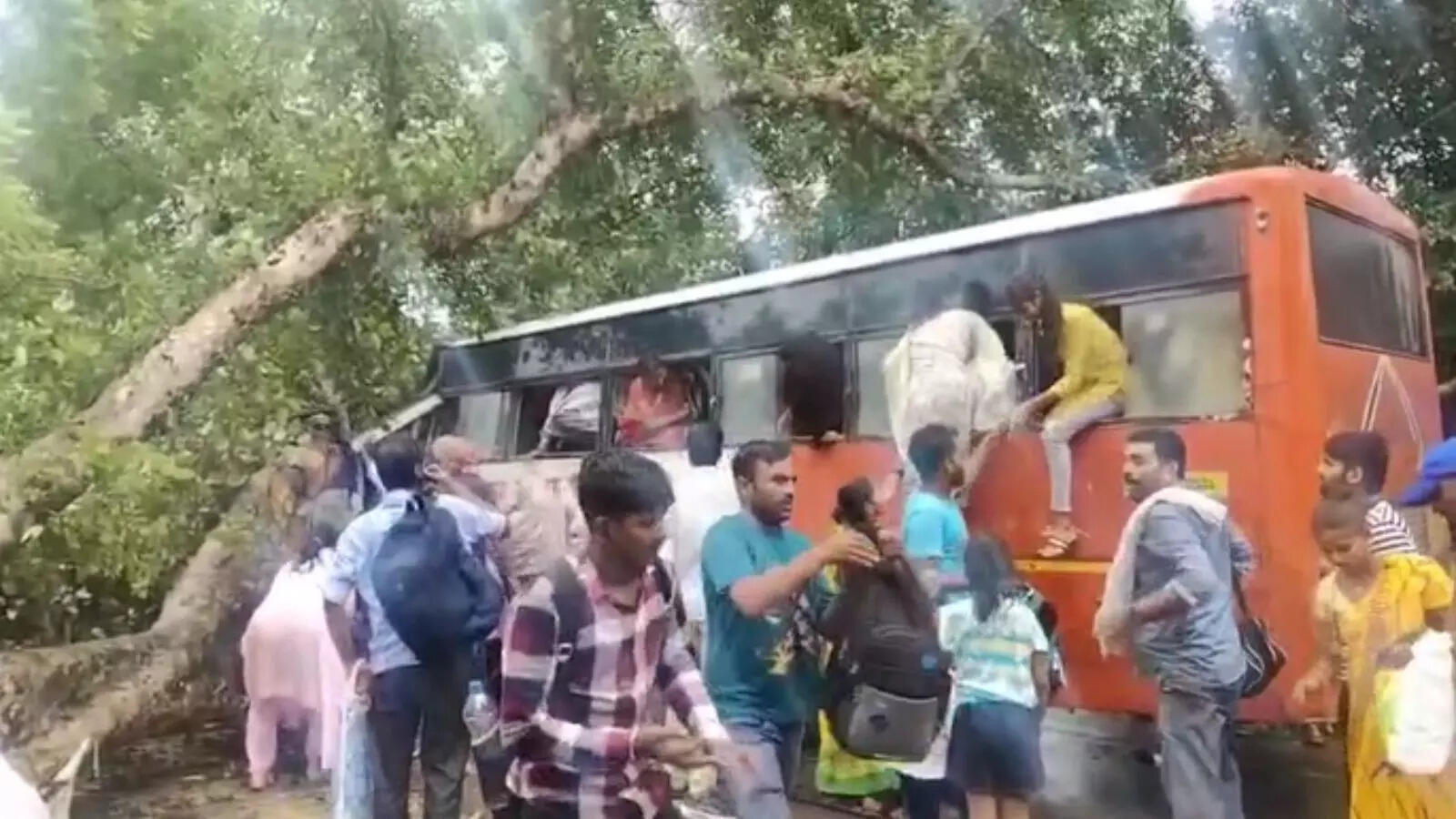 बाराबंकी में सड़क हादसा, सवारियों से भरी बस पर गिरा पेड़, चालक समेत 5