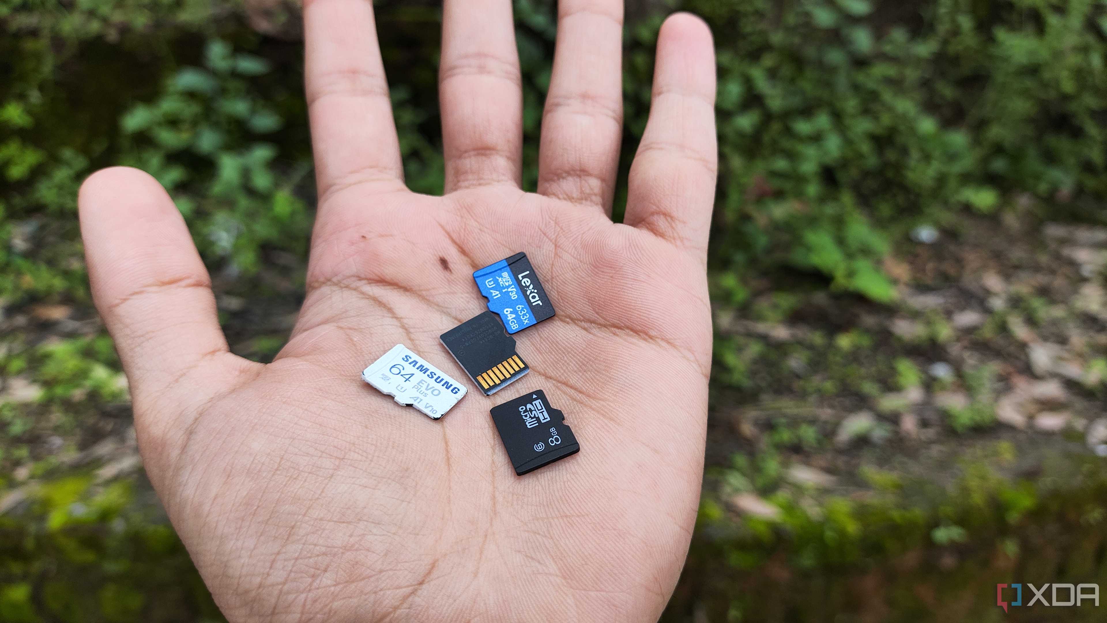 A person holding microSD cards