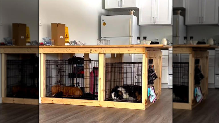 How to Disassemble a Dog Crate: Easy Steps for Quick Breakdown