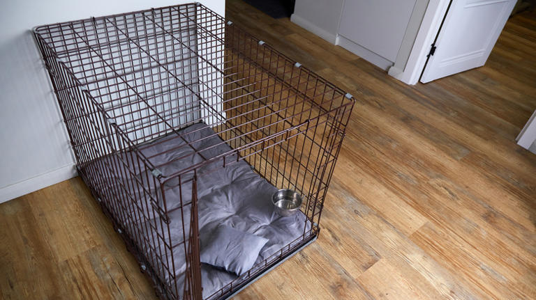 Does Putting a Blanket Over a Dog Crate Help? Expert Insights