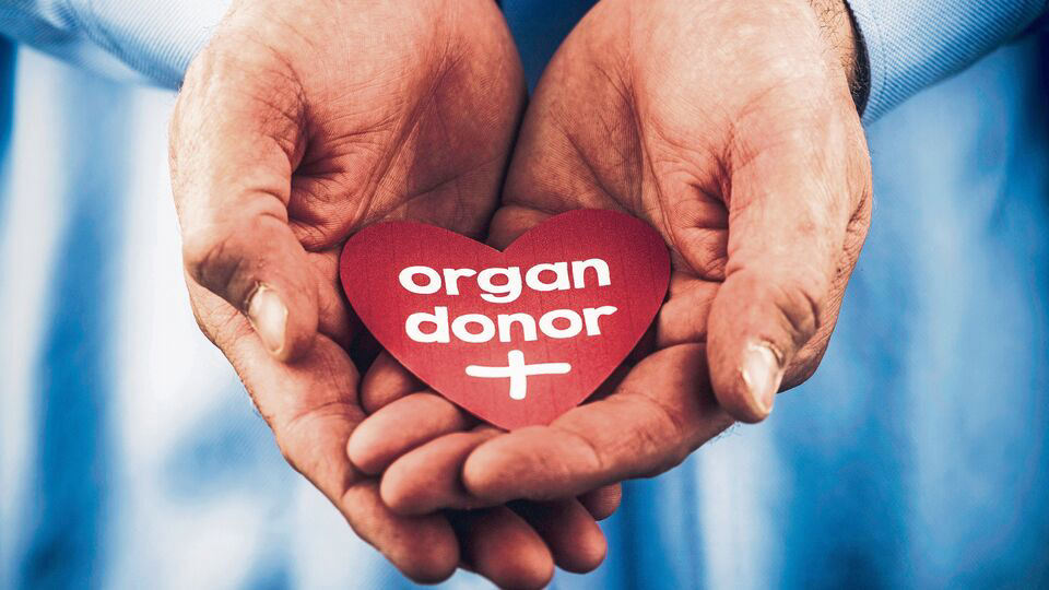 Female patients relatives of deceased donors to get priority in organ Female patients relatives of deceased donors to get priority in organ