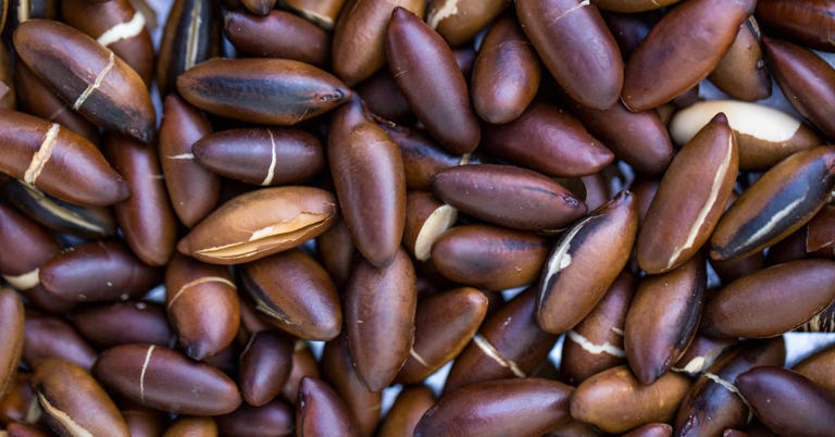 I’m a heart surgeon and gut health expert: My 6 favorite high-protein foods—that aren't meat