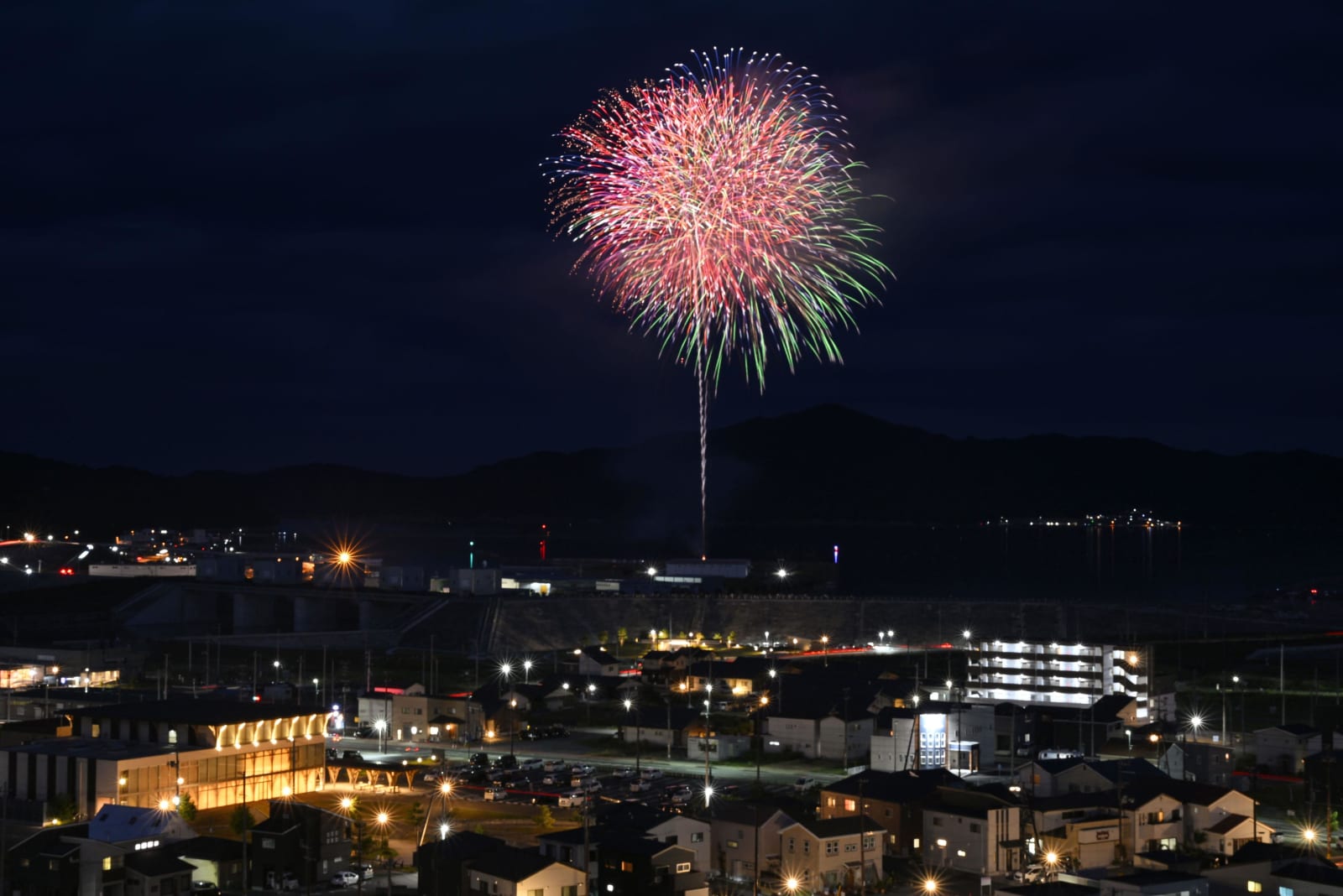 津波の犠牲者悼む1286発 岩手・大槌で花火打ち上げ