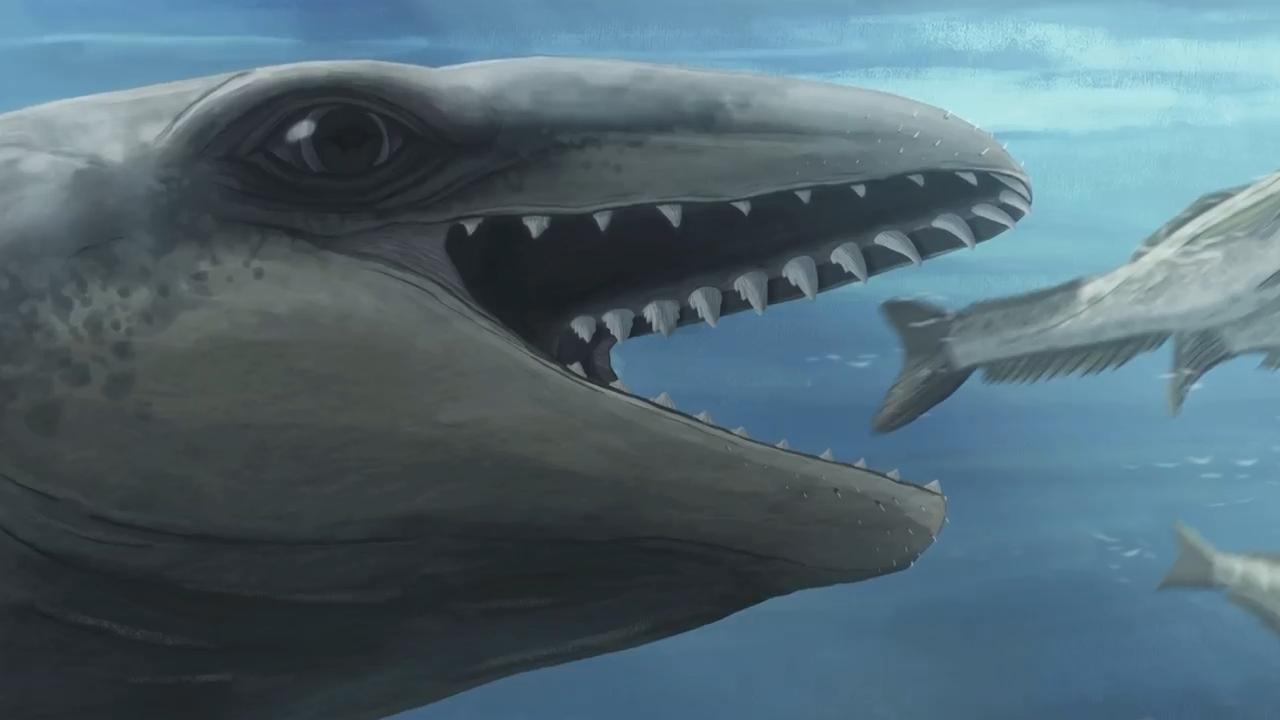 This prehistoric whale had razor teeth, bulging eyes and a face only ...