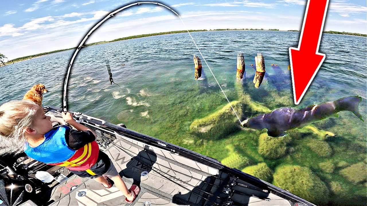 5-year-old lands massive fish during epic fishing trip adventure