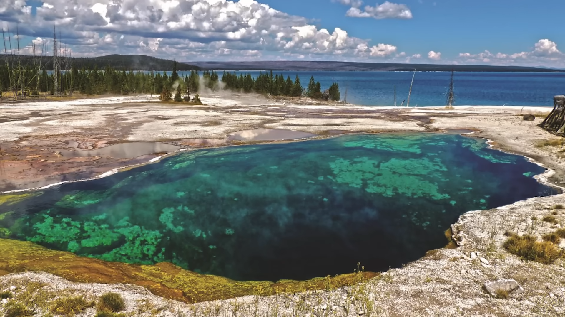 Boiled Alive in America’s Oldest National Park