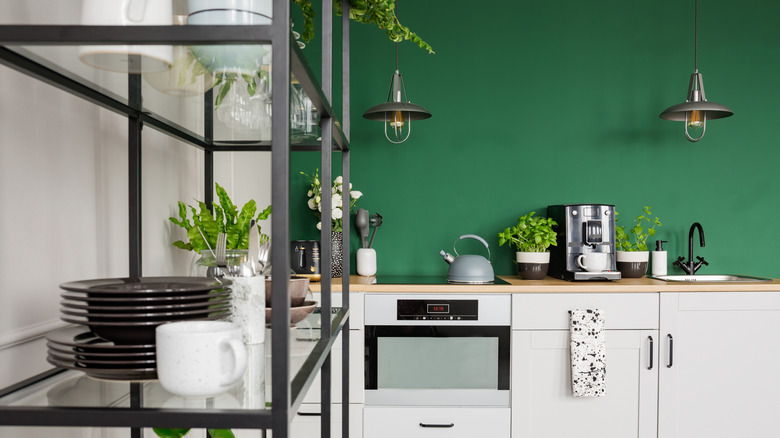 The Paint You Should Avoid In Your Kitchen At All Costs