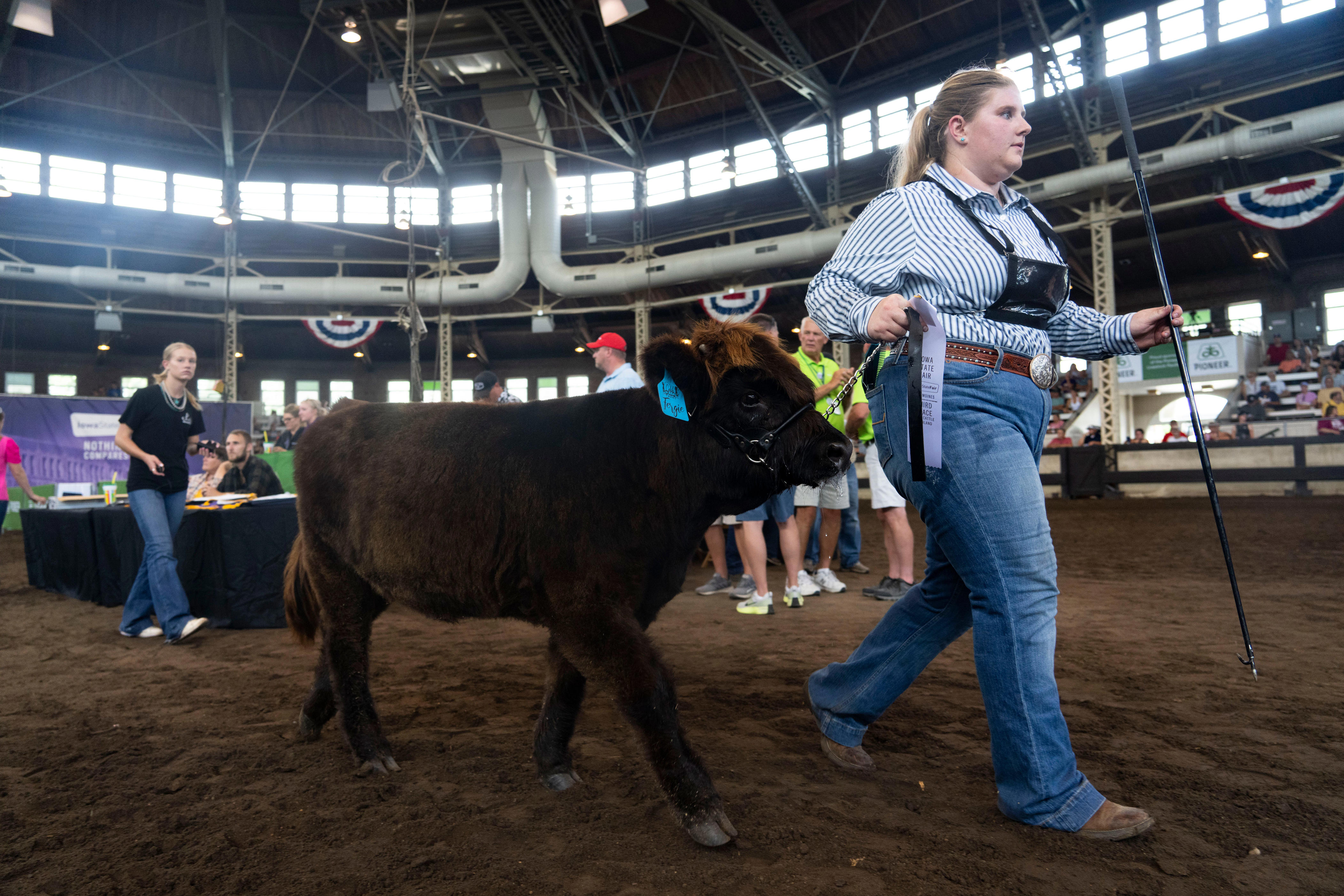 Crowds gather for first-ever Highland cattle show at the Iowa State Fair