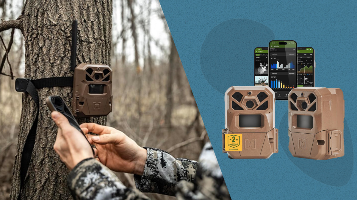Amazon's No. 1 Bestselling Trail Cameras That Shoot 'Crystal Clear ...