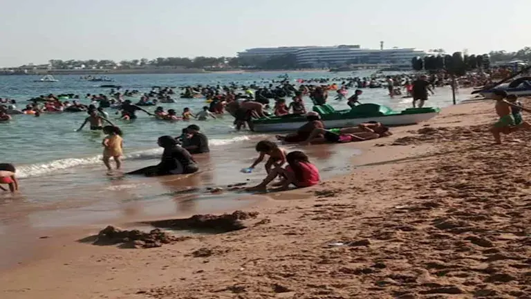 شواطئ الإسكندرية (12)