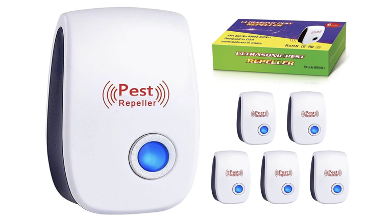 Rats will invade your yard if you leave this one item outdoors in April