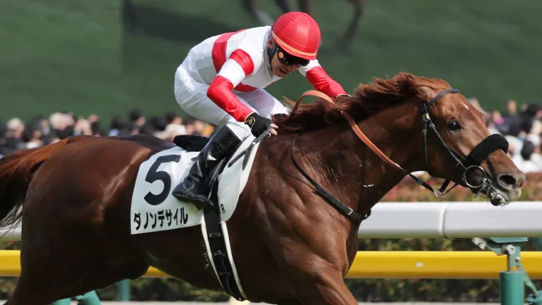 第41回ジャパンカップ　全出走馬のストラップ 第41回ジャパンカップ 全出走馬のストラップ 第41回ジャパンカップ 全