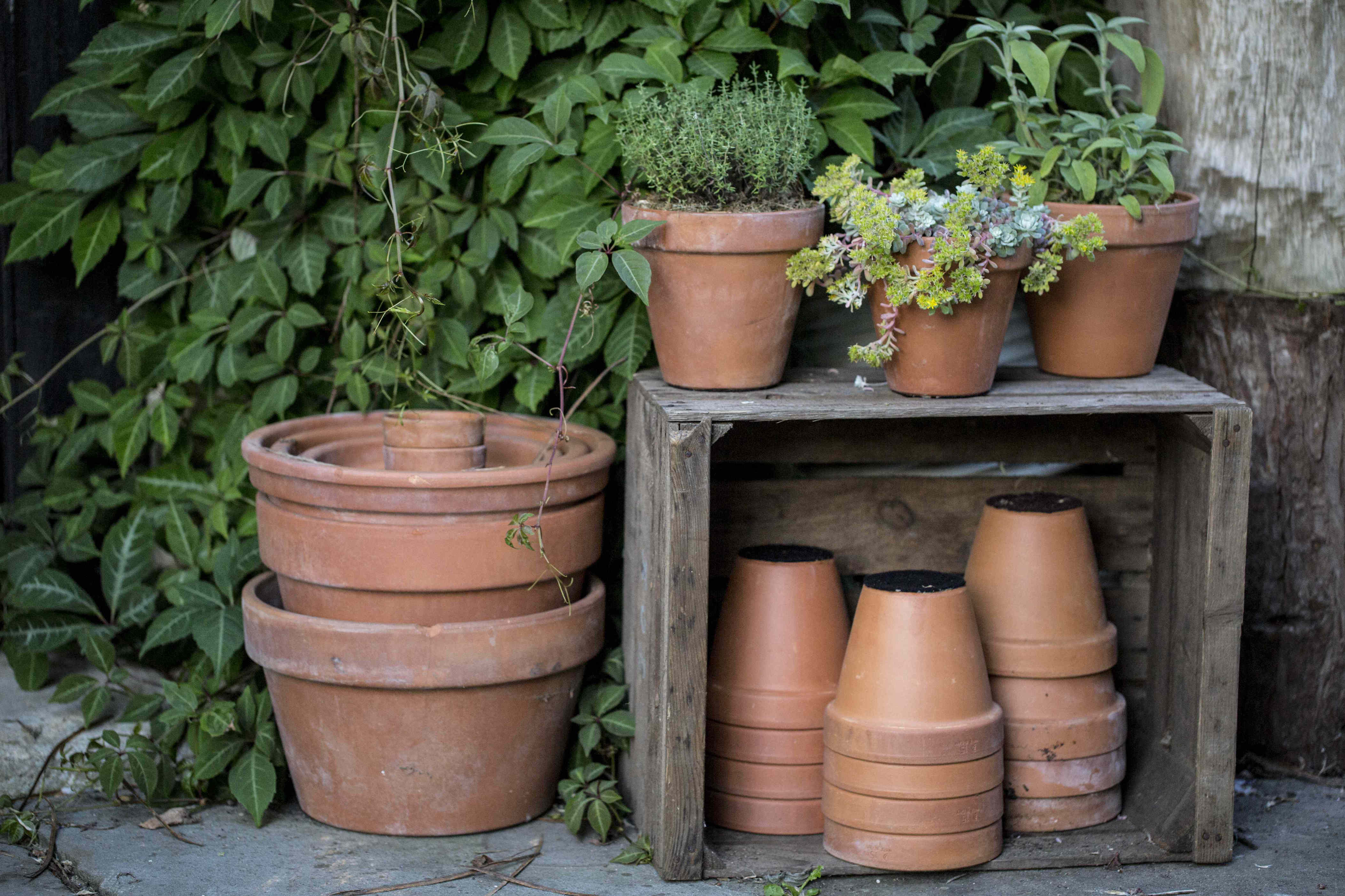 How to use broken terracotta pots in the garden—including Martha's ...
