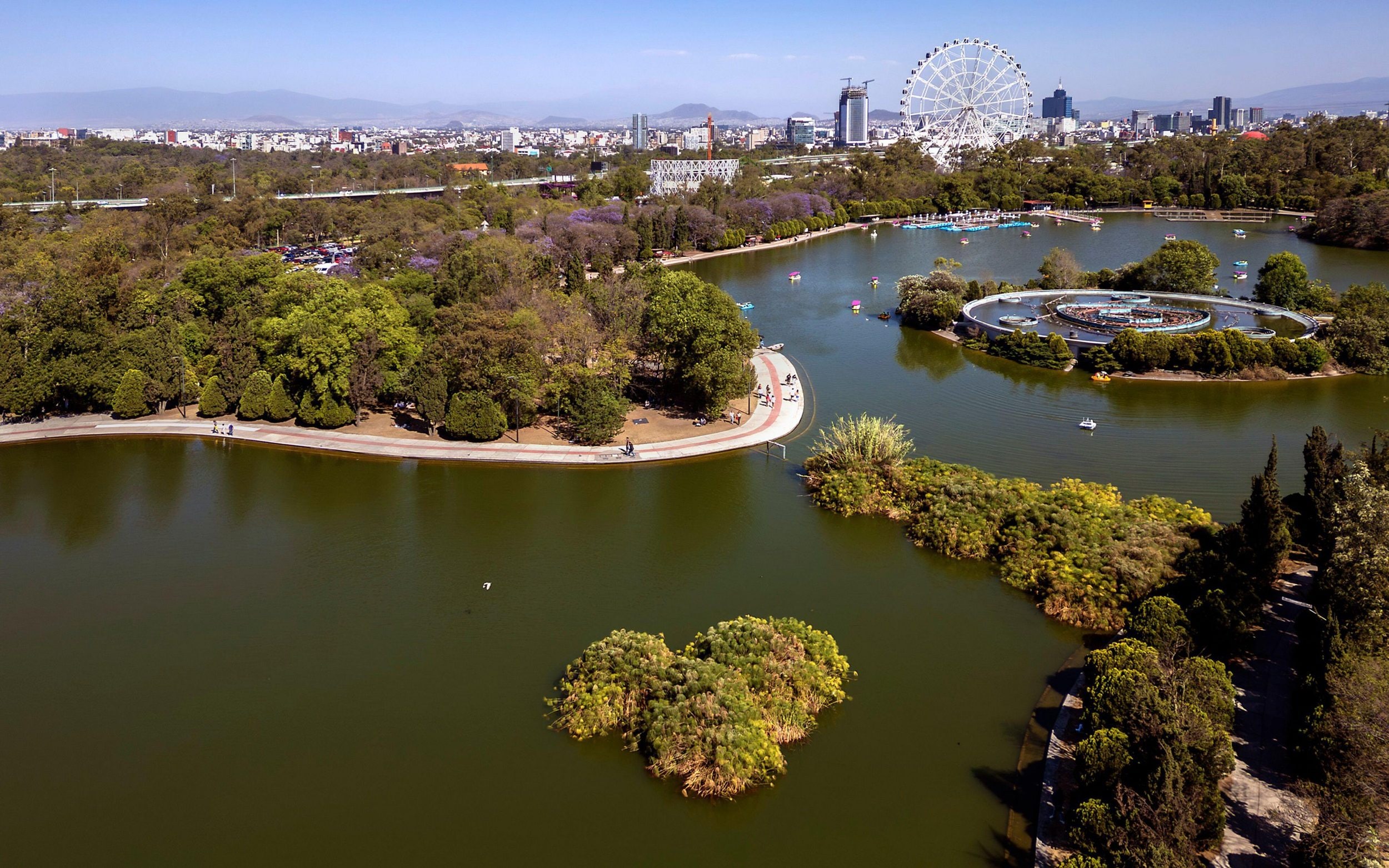 Bosque de Chapultepec, Carlisle's local park in Mexico City