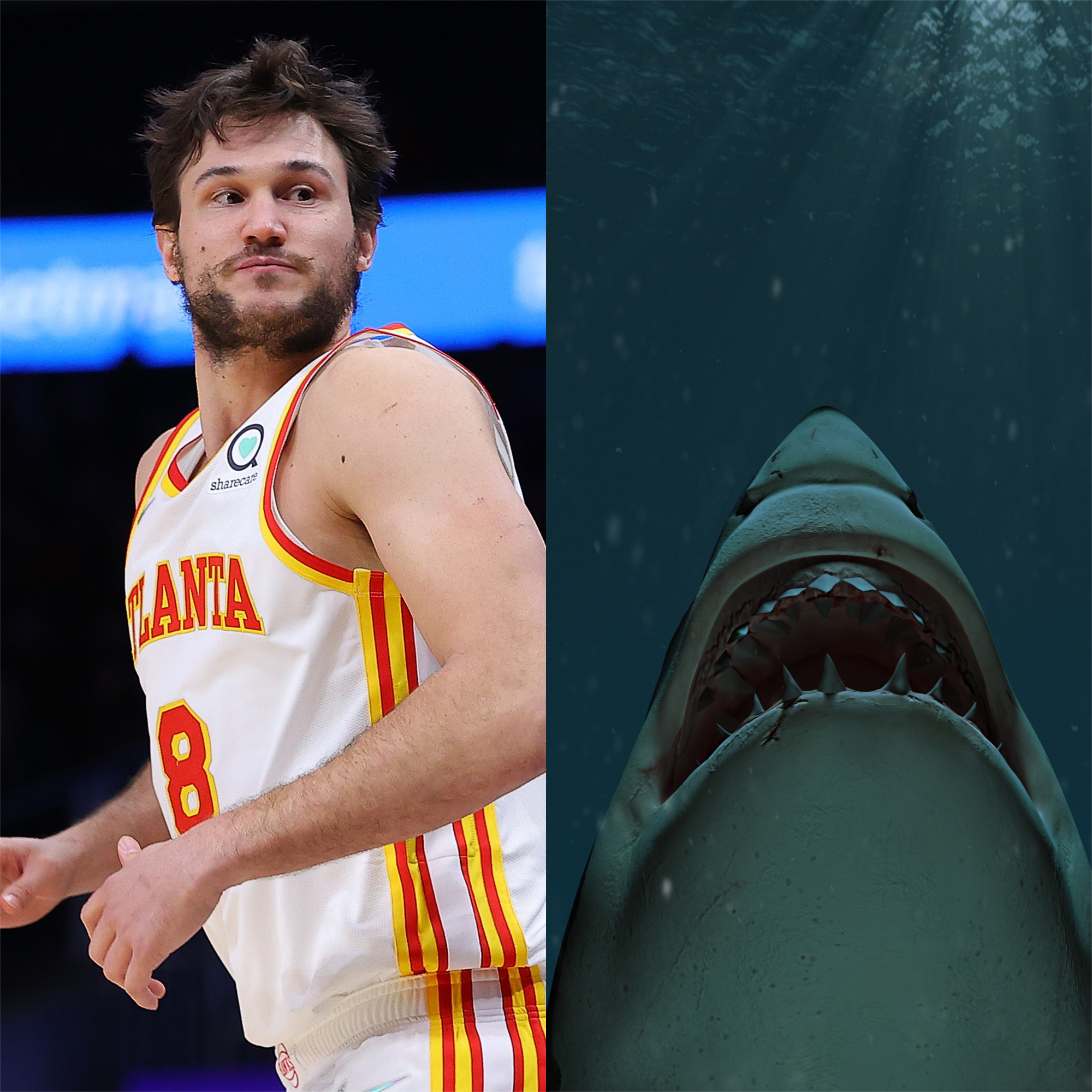 Pregnant wife of former NBA player 'traumatized' after shark attack