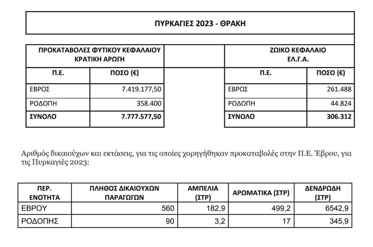 Δαδιά: Δύο χρόνια μετά την καταστροφική πυρκαγιά