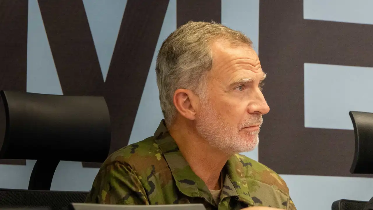 El Rey Felipe VI, muy preocupado por la oleada de incendios, regresa a España  para conocer la situación en primera persona